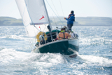 oystercatcher 3245c whyw16 thur 800 4246w